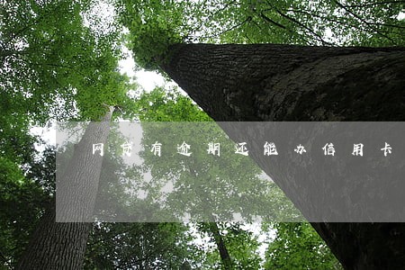 网贷有逾期还能办信用卡 么 网贷有逾期还能办信用卡 么